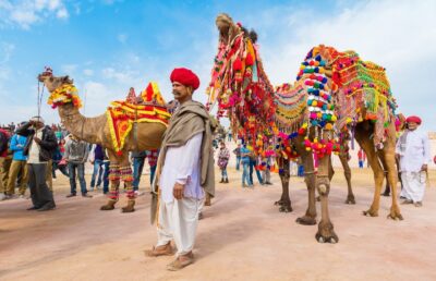 Pushkar Fair - Camel Race